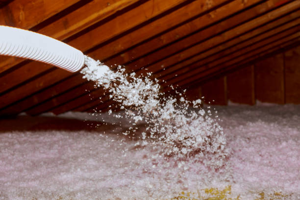 Professional Insulation Contractor in Eielson Af, AK