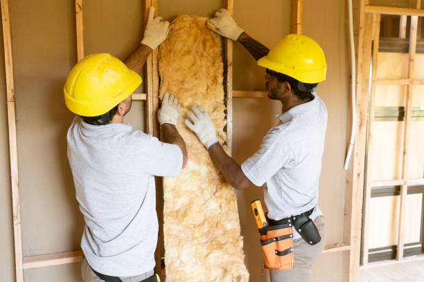 Professional Insulation Contractor in Eielson Af, AK